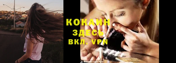 стафф Михайловск