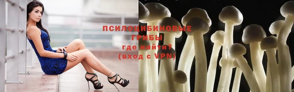 стафф Михайловск
