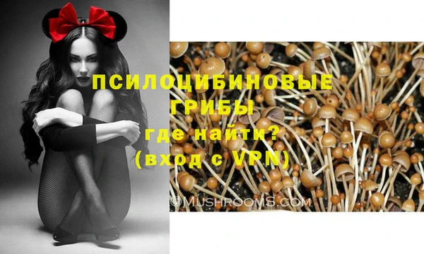 2c-b Дмитров
