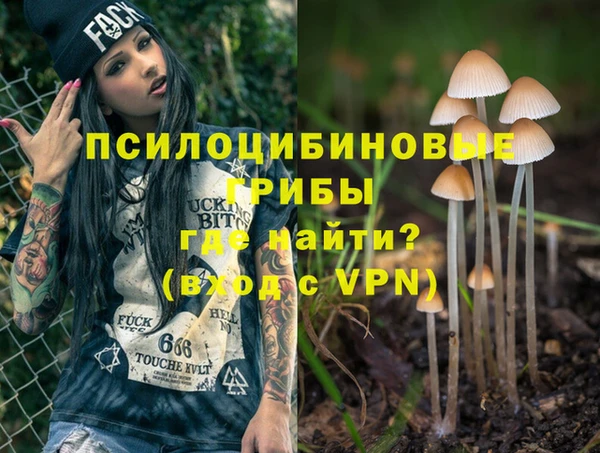 стафф Михайловск