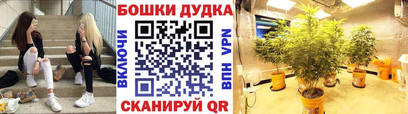 KRAKEN маркетплейс где продают наркотики Питкяранта Бошки марихуана Bruce Banner